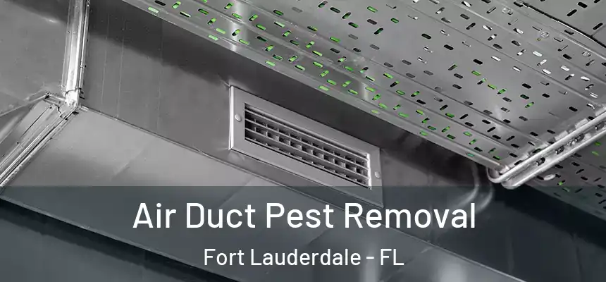 Air Duct Pest Removal Fort Lauderdale - FL