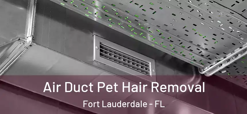  Air Duct Pet Hair Removal Fort Lauderdale - FL