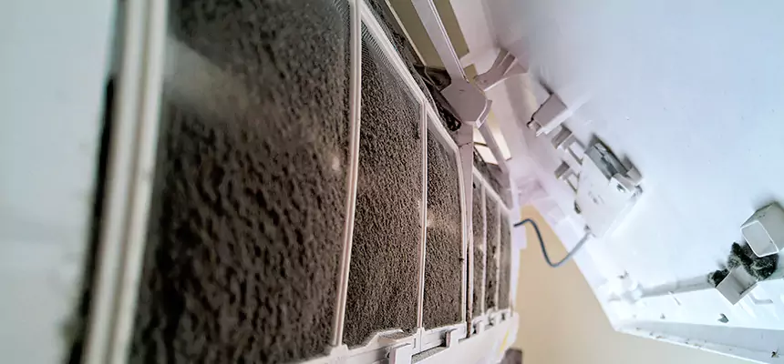 Preventive Air Duct Bacteria Removal in Fort Lauderdale