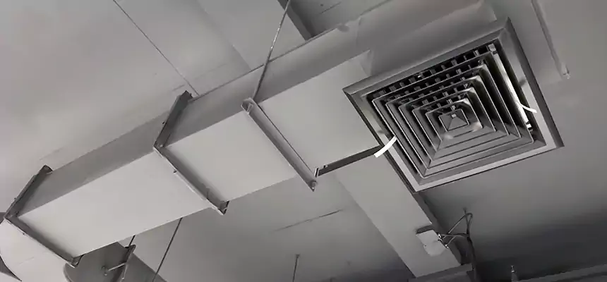 Restorative Allergy Relief Vent Cleaning – Coil, Blower & Housing Detail in Fort Lauderdale