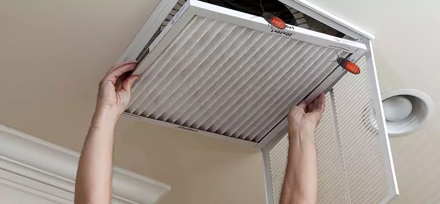 Our Insect Removal from Air Ducts Services in Fort Lauderdale, FL