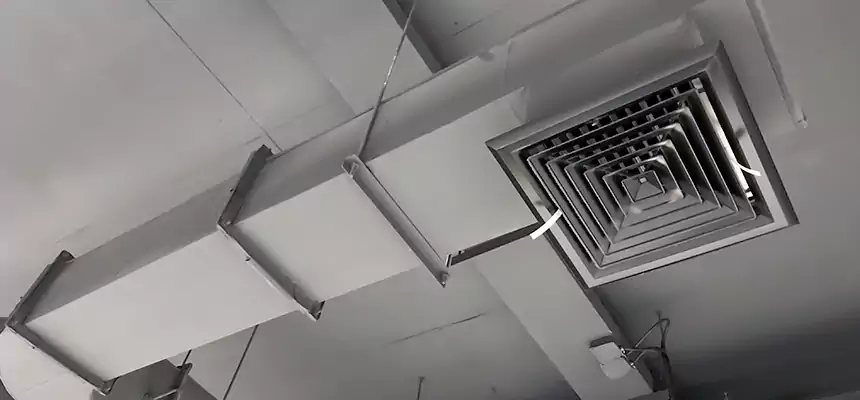 Our Pest Removal From Ducts Services in Fort Lauderdale, FL