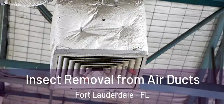  Insect Removal from Air Ducts Fort Lauderdale - FL