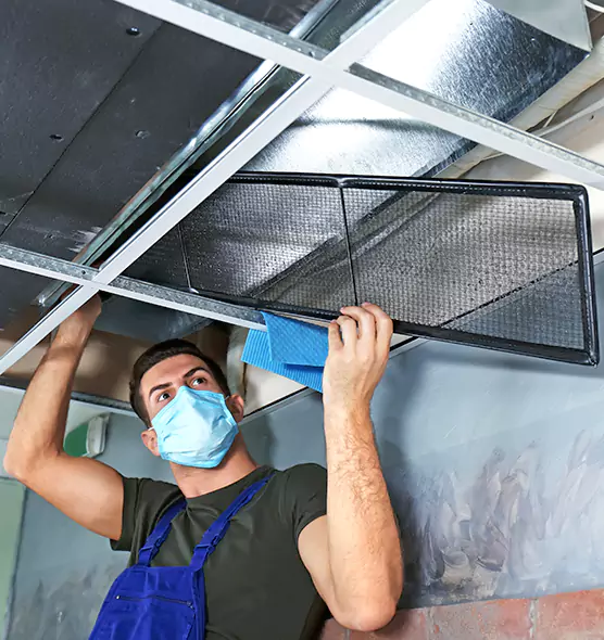 About Air Duct Bacteria Removal in Fort Lauderdale