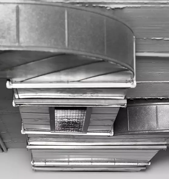 Professional Air Duct Pet Hair Removal in Fort Lauderdale, FL