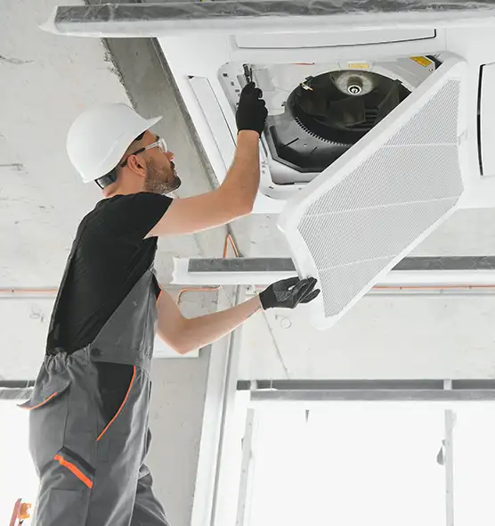 About Air Duct Rodent Removal in Fort Lauderdale, FL