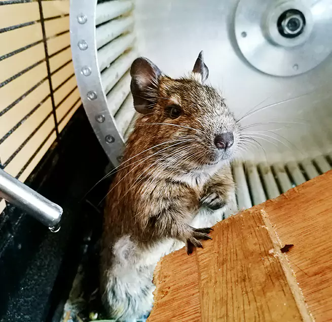 Why Homeowners & Businesses Trust Us Fort Lauderdale, FL