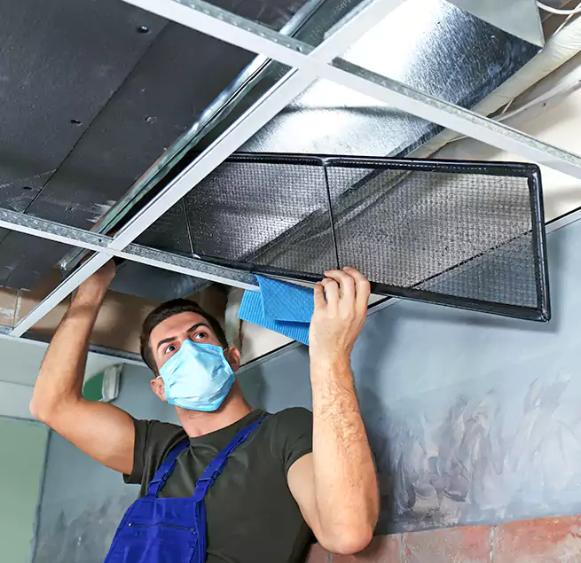 Why Homeowners Businesses Trust Us in Fort Lauderdale, FL