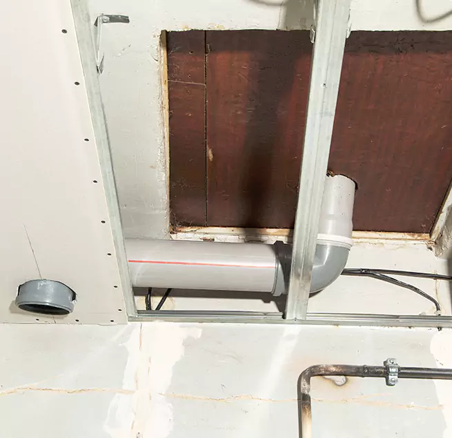 Why Homeowners & Businesses Trust Us in Fort Lauderdale, FL?