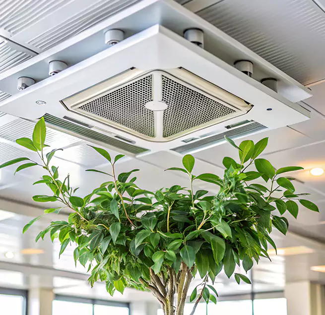 Why Homeowners & Businesses Trust Us in Fort Lauderdale, FL?