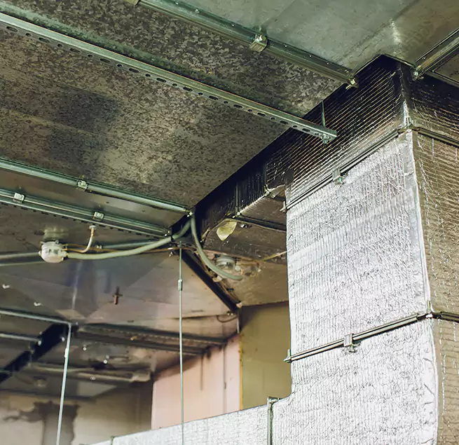 Why Homeowners & Businesses Trust Us in Fort Lauderdale, FL?