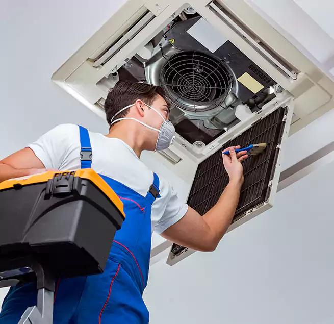 Why Homeowners & Businesses Trust Us in Fort Lauderdale, FL?